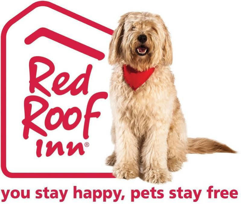 Red Roof Inn Акрон Экстерьер фото